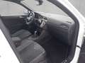 Volkswagen Tiguan 2.0 TDI R-Line DSG AHK/ Matrix/ Navi Weiß - thumbnail 19