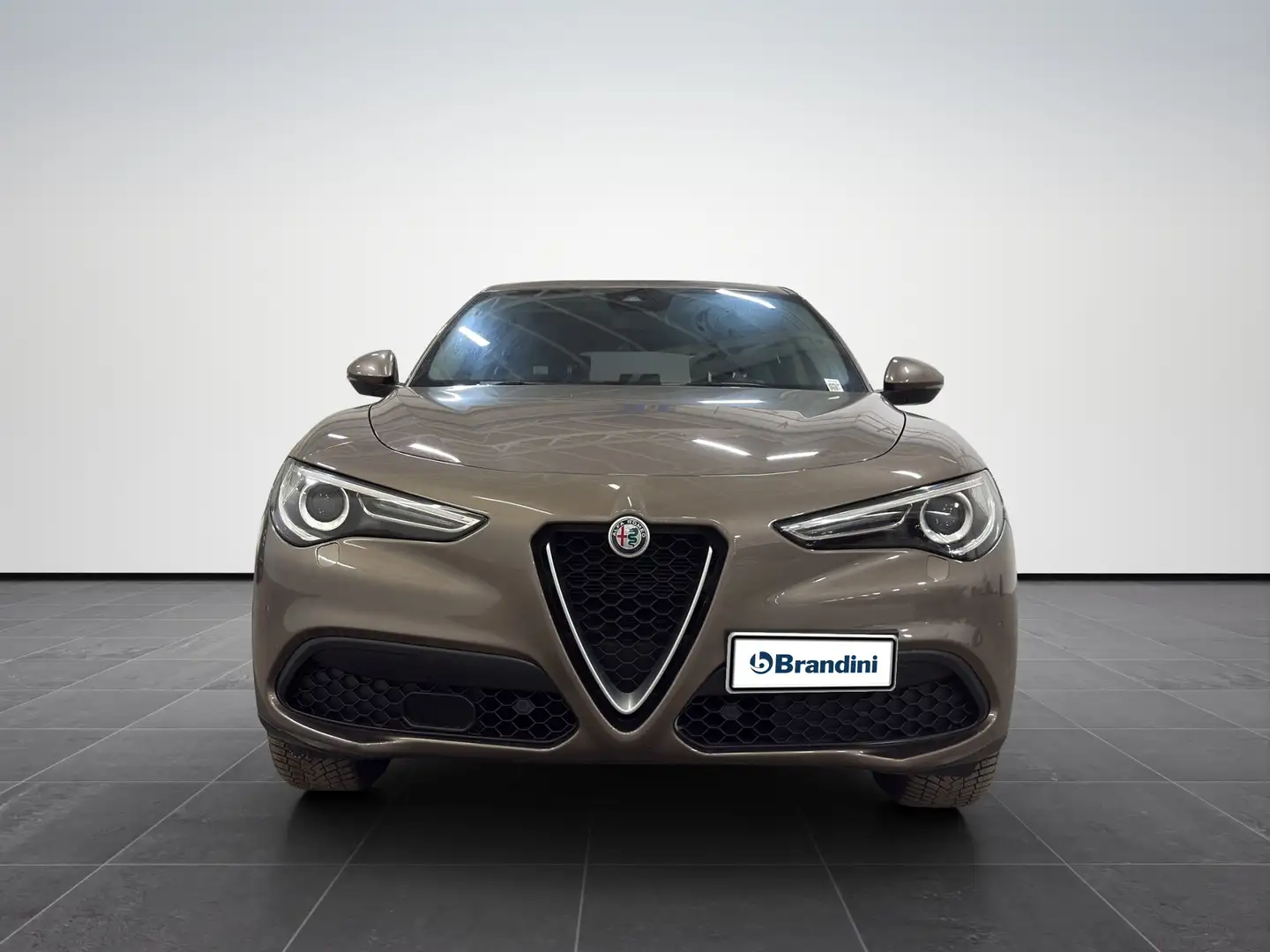 Alfa Romeo Stelvio 2.2 Turbo Executive Grigio - 2