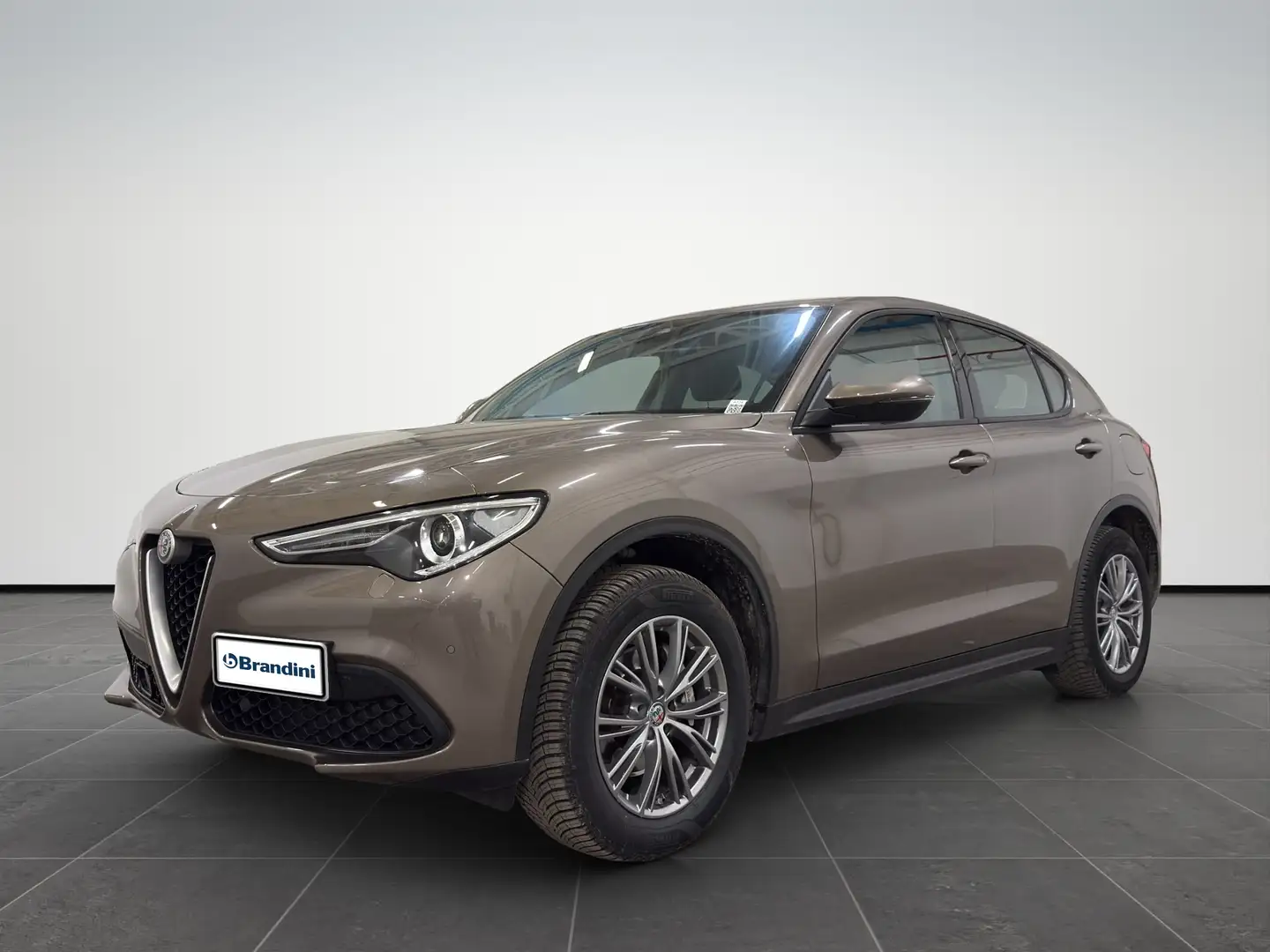 Alfa Romeo Stelvio 2.2 Turbo Executive Grigio - 1