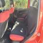 Fiat Panda Panda III 2016 1.2 Easy 69cv Rouge - thumbnail 6