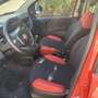 Fiat Panda Panda III 2016 1.2 Easy 69cv Rouge - thumbnail 7