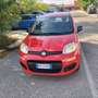 Fiat Panda Panda III 2016 1.2 Easy 69cv Rouge - thumbnail 1