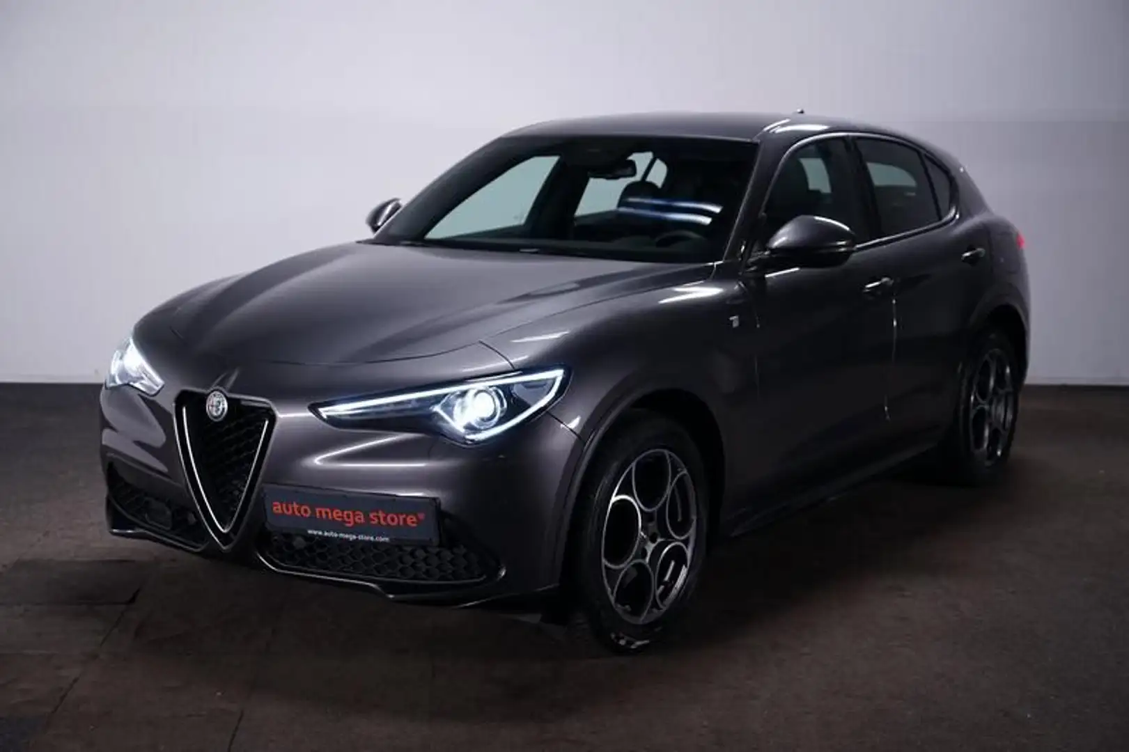 Alfa Romeo Stelvio 2.0 Turbo TI Q4 AT8*Bi-Xenon*Kamera*Memo Gris - 1