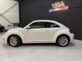 Volkswagen Coccinelle (2) 1.6 TDI 105 Blanc - thumbnail 4