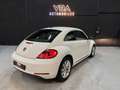 Volkswagen Coccinelle (2) 1.6 TDI 105 Blanc - thumbnail 5