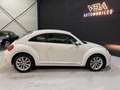 Volkswagen Coccinelle (2) 1.6 TDI 105 Blanc - thumbnail 7