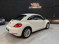 Volkswagen Coccinelle (2) 1.6 TDI 105 Blanc - thumbnail 6
