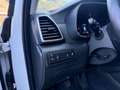 Hyundai TUCSON Tucson 1,6L 4WD Run / EXPORT ODER HÄNDLER Weiß - thumbnail 12
