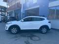 Hyundai TUCSON Tucson 1,6L 4WD Run / EXPORT ODER HÄNDLER Weiß - thumbnail 5