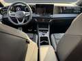 Volkswagen Tiguan 2.0 TDI R-Line AHK Navi Pano Kamera LED Grün - thumbnail 6
