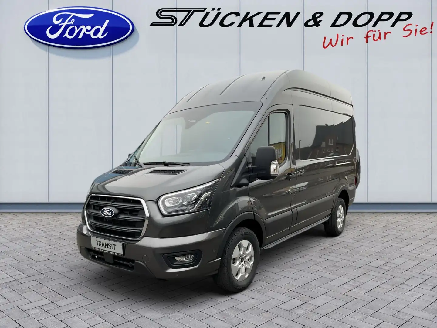 Ford MATIST FAMILY L 5 Sitzplätze und 4 Schlafplätze Grau - 1