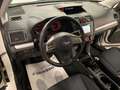 Subaru Forester 2.0D Dynami-NAVI-SERVICE SUBARU Biały - thumbnail 10