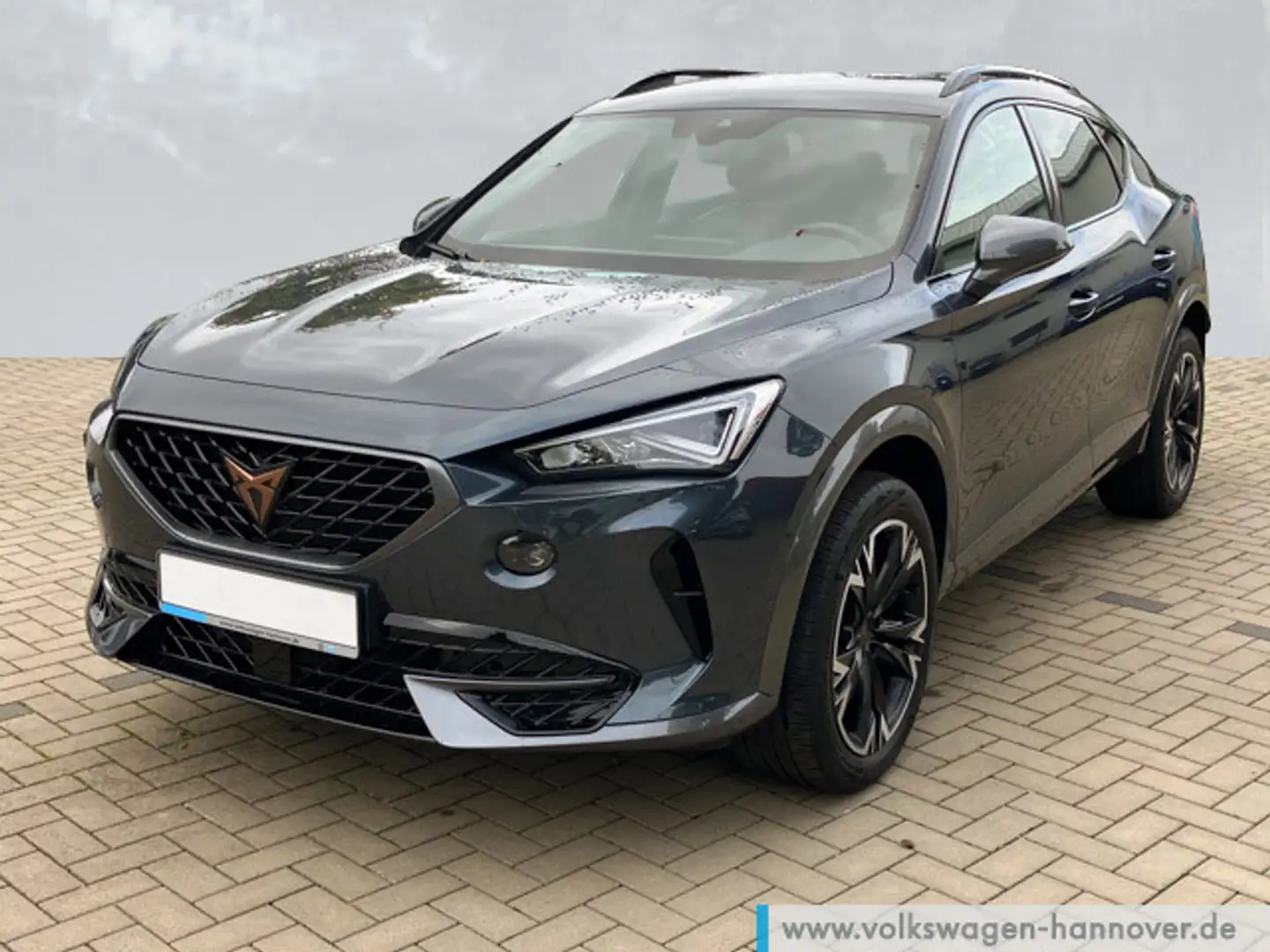 CUPRA Formentor 2.0 TSI DSG Navi ACC LED SHZ PDC Klima Grau - 1