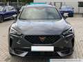CUPRA Formentor 2.0 TSI DSG Navi ACC LED SHZ PDC Klima Grau - thumbnail 8