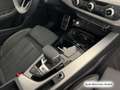 Audi S4 TDI Matrix/Navi+/Kamera Gris - thumbnail 14