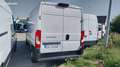 Fiat Ducato 3.0 M H2 Multijet 120Ch Pack Profesionnel Weiß - thumbnail 4