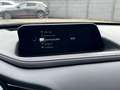 Mazda CX-30 CX-30 2.0 M-HYBRID / Trekhaak / 13000km Gris - thumbnail 14