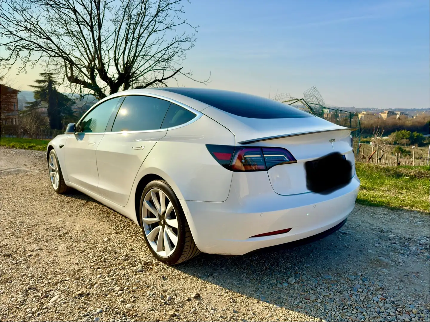 Tesla Model 3 Model 3 Long Range Dual Motor awd Bianco - 2