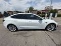 Tesla Model 3 Model 3 Long Range Dual Motor awd Bianco - thumbnail 11