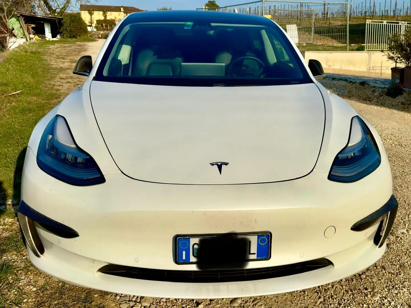 Tesla Model 3 Model 3 Long Range Dual Motor awd Bianco - 1