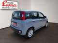 Fiat Panda 1.2 70 Easy 8-Fach Bereift! Grau - thumbnail 15