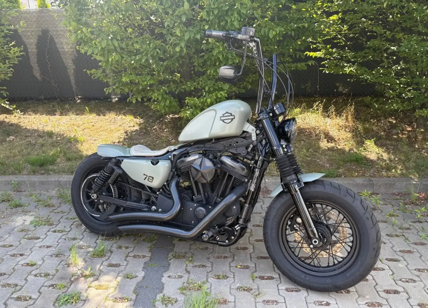 Harley-Davidson Sportster 1200 zelena - 1