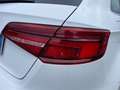 Audi A3 30 1.6 tdi 116cv SLINE Bianco - thumbnail 9