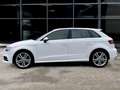 Audi A3 30 1.6 tdi 116cv SLINE Bianco - thumbnail 6