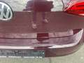 Volkswagen Golf Highline 1,0 TSI Pickerl bis 03/2026 Finanzieru... Rouge - thumbnail 31
