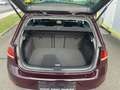 Volkswagen Golf Highline 1,0 TSI Pickerl bis 03/2026 Finanzieru... Rouge - thumbnail 11