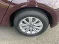 Volkswagen Golf Highline 1,0 TSI Pickerl bis 03/2026 Finanzieru... Rouge - thumbnail 23