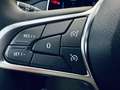 Renault ZOE Zen 50 R135 100kW Gris - thumbnail 31