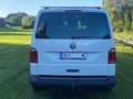 Volkswagen T6 Caravelle Caravelle LR Highline 2,0 BMT TDI Highline Weiß - thumbnail 4