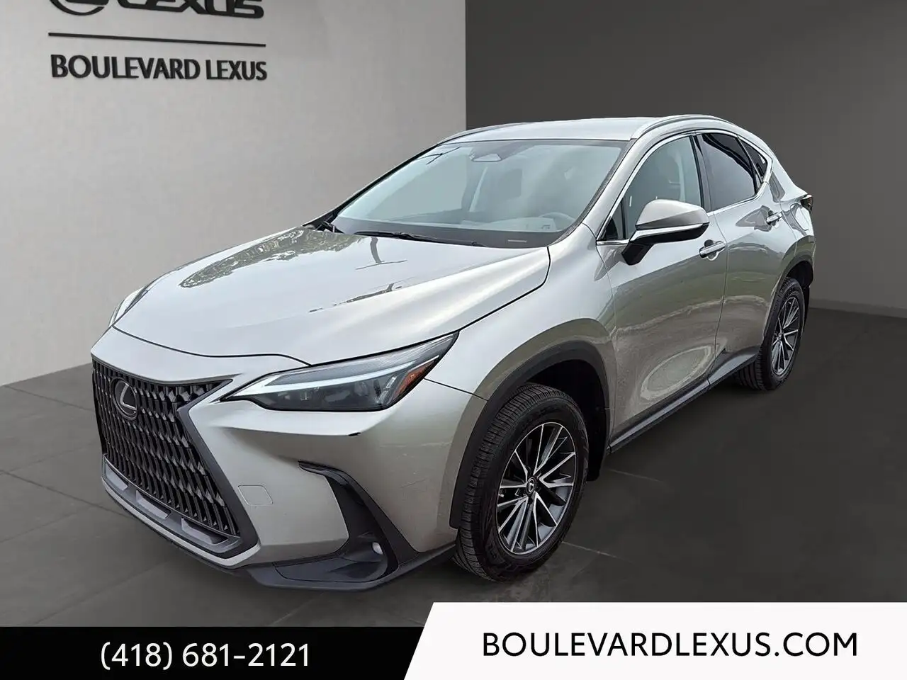 2023 Lexus NX photo 2023 Lexus NX