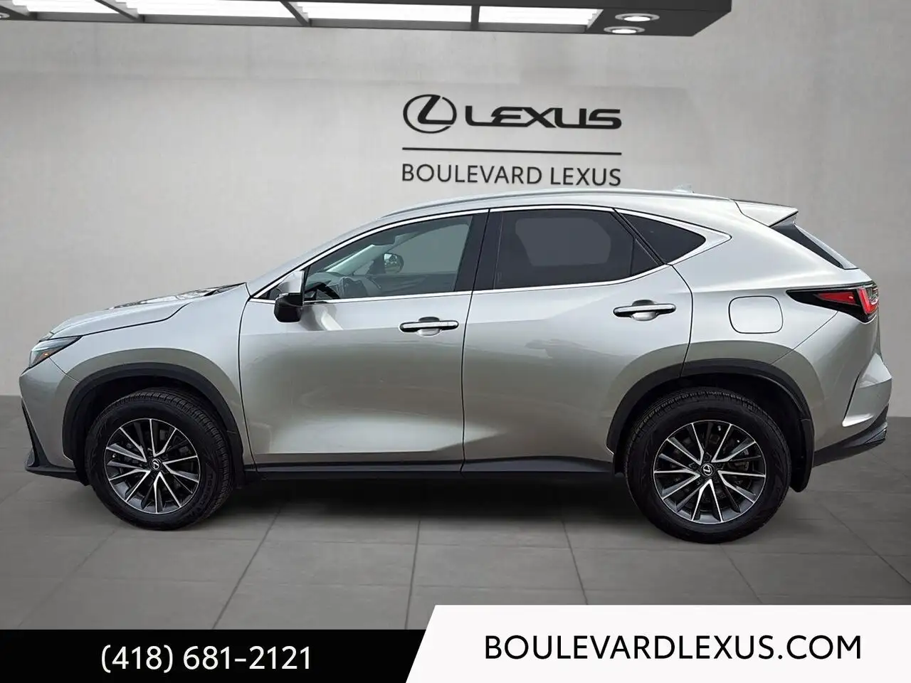 Lexus NX photo Lexus NX