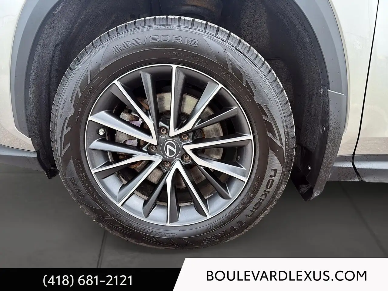 Lexus NX photo Lexus NX