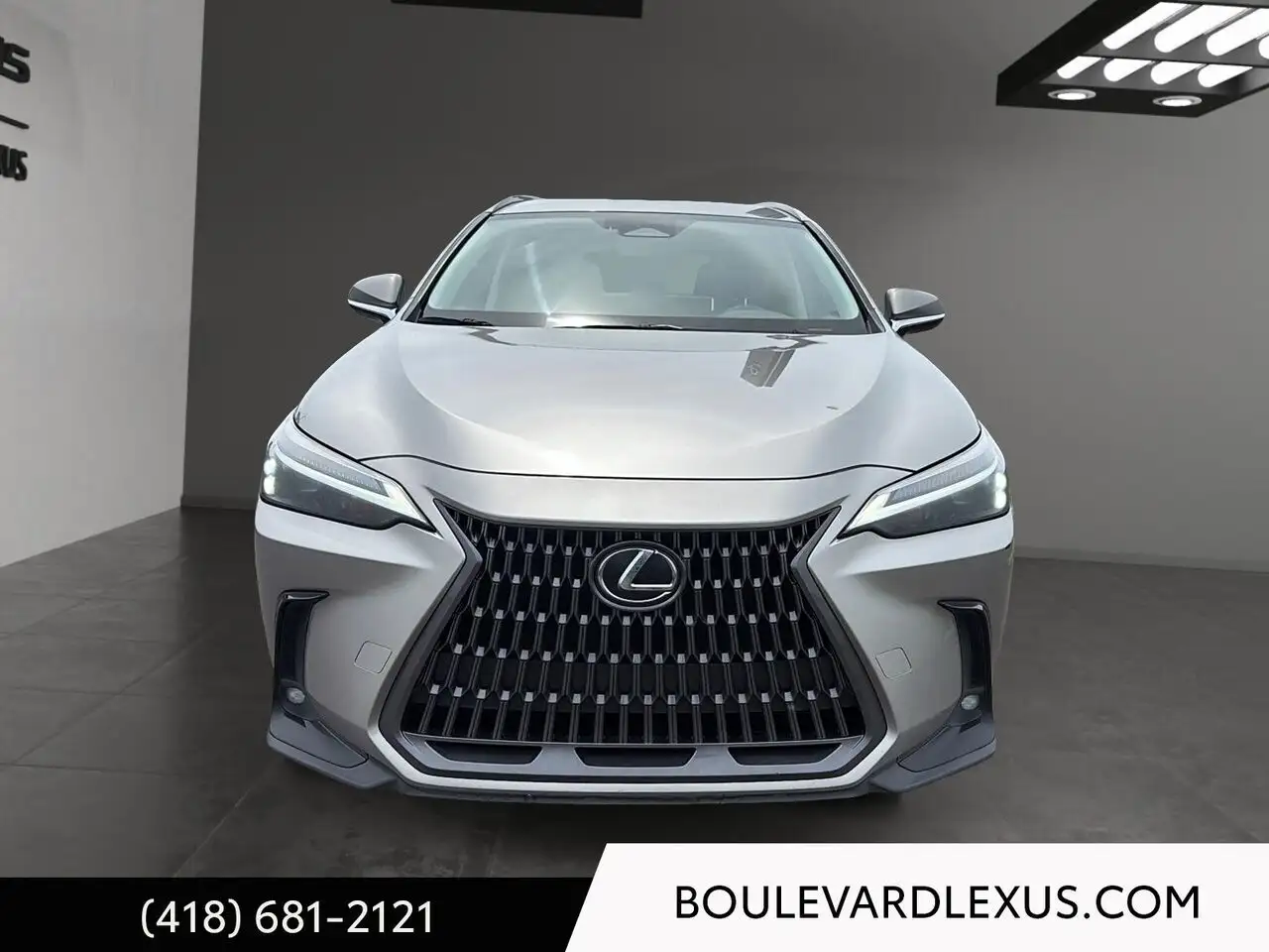 Lexus NX photo Lexus NX