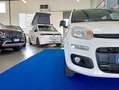 Fiat Panda 0.9 NATURAL POWER METANO BOMBOLE OK 2029 Bianco - thumbnail 4
