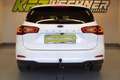Ford Focus Turnier 1.5 EcoBl. Aut. "Titanium X" AHK*SITZH*LE Weiß - thumbnail 5