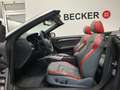 Audi A5 A5 Cabrio 3.2 FSI Quattro S Tronic Audi Exclusive Grau - thumbnail 12