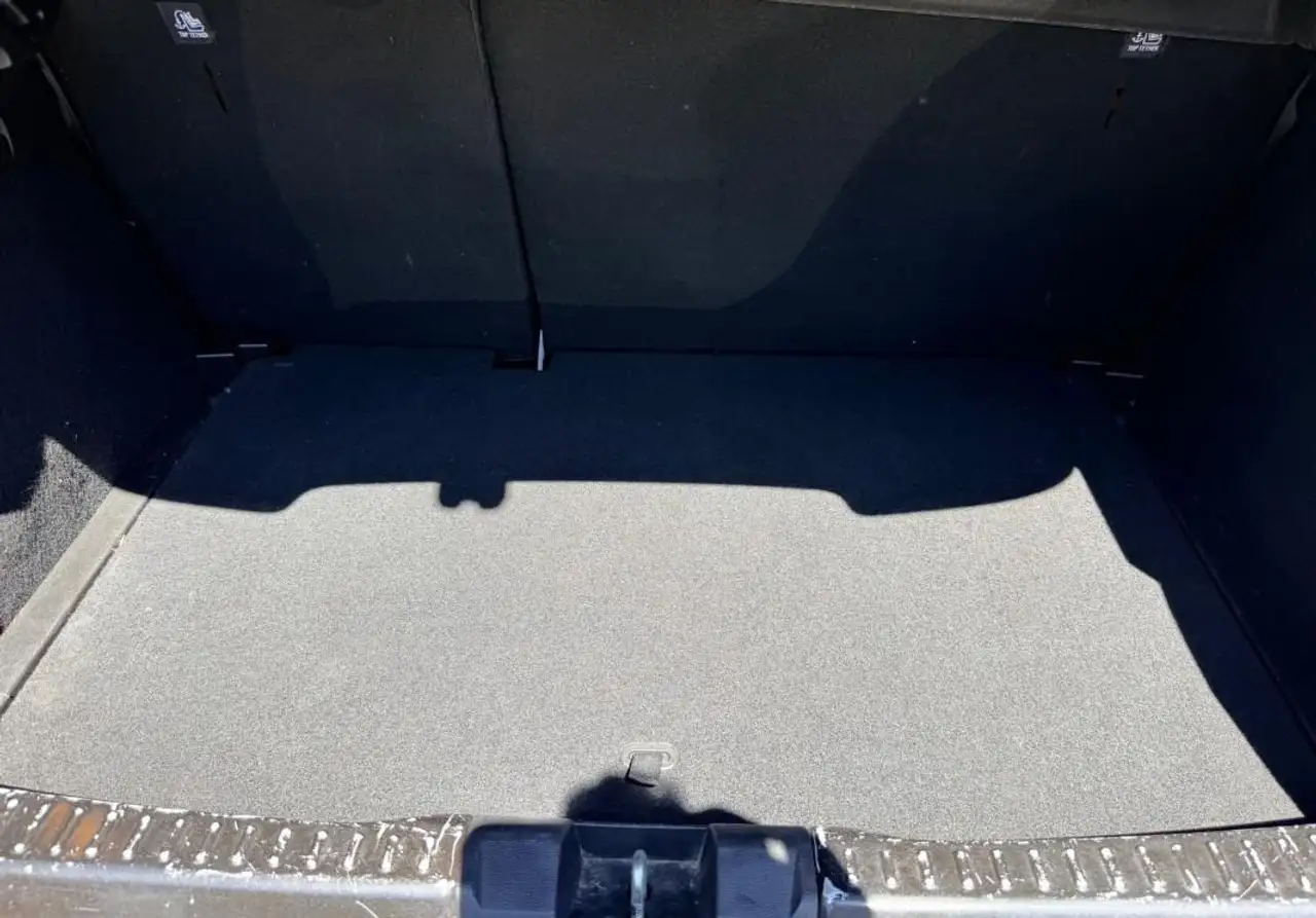 Dacia Sandero Sandero Stepway — photo 29