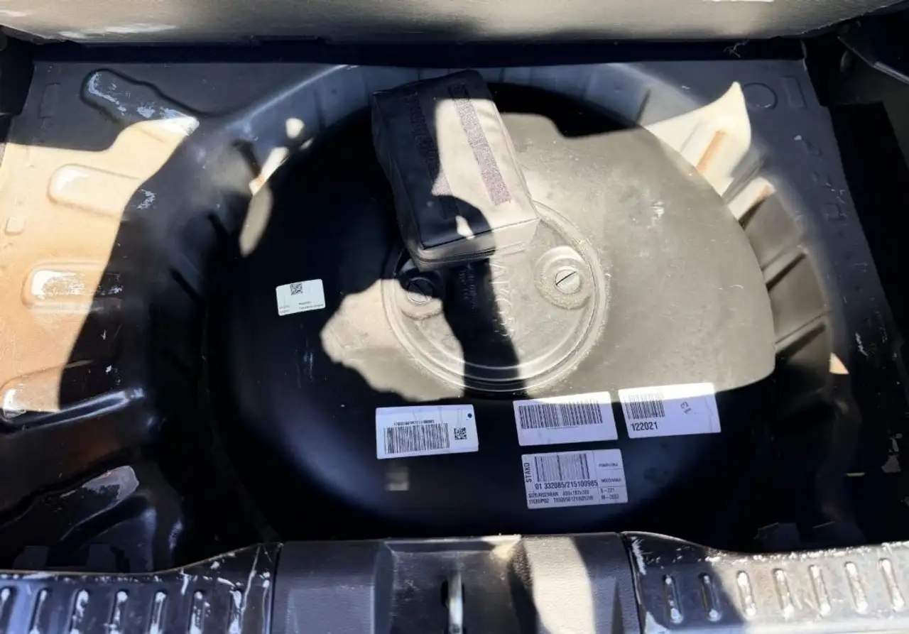 Dacia Sandero Sandero Stepway — photo 30