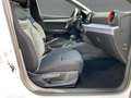 SEAT Ibiza 1.5 TSI DSG FR-LINE LED+NAV+APP+GRA+NSW+VC Bianco - thumbnail 12