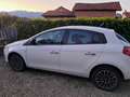 Fiat Bravo 1.6 mjt Street 120cv - thumbnail 3