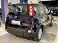 Fiat Panda Panda III 2024 1.0 firefly hybrid s - thumbnail 6