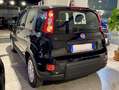 Fiat Panda Panda III 2024 1.0 firefly hybrid s - thumbnail 4