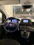 Fiat Panda Panda III 2024 1.0 firefly hybrid s - thumbnail 8