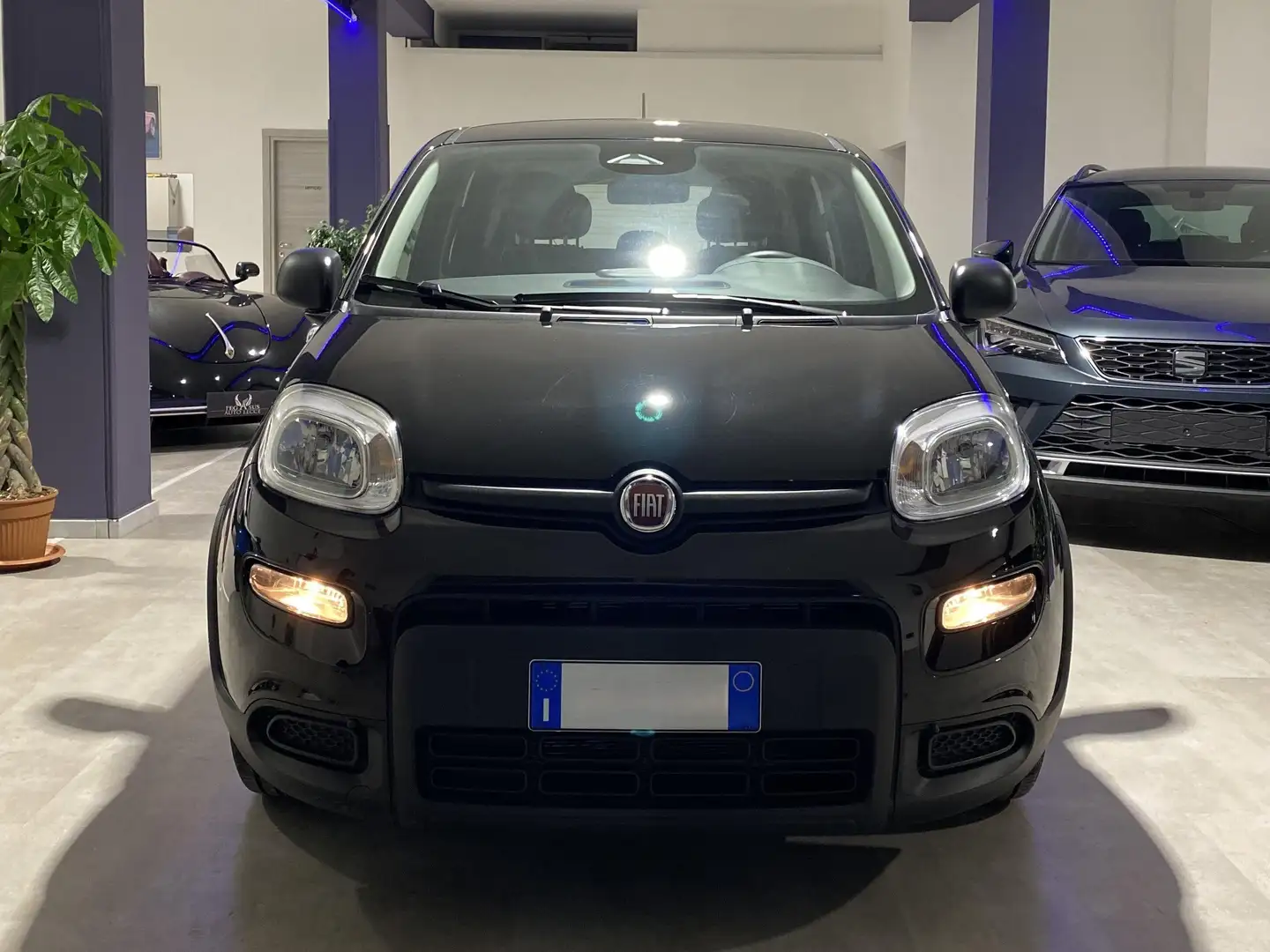 Fiat Panda Panda III 2024 1.0 firefly hybrid s - 1