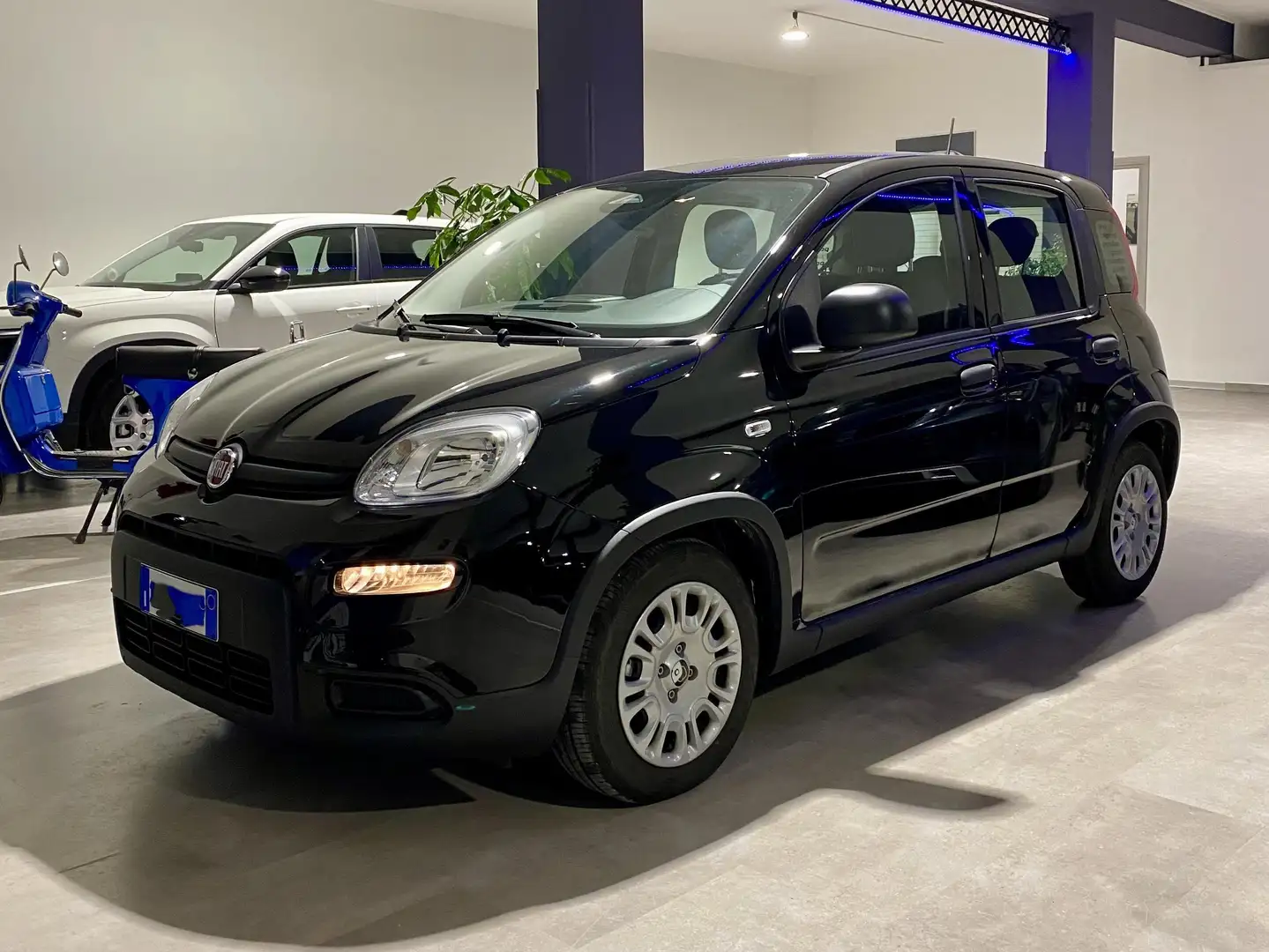 Fiat Panda Panda III 2024 1.0 firefly hybrid s - 2