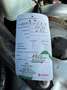 Mercedes-Benz C 200 CDI BlueEfficiency, 2.Hand, sehr gepflegt! Argent - thumbnail 12